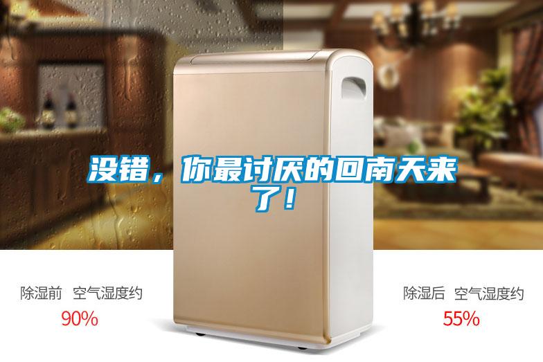 沒錯，你最討厭的回南天來了！