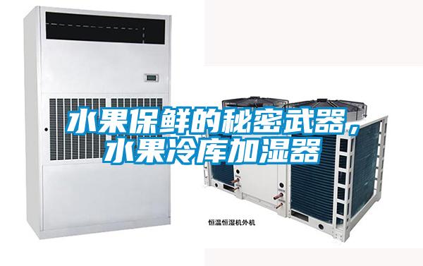 水果保鮮的秘密武器，水果冷庫加濕器