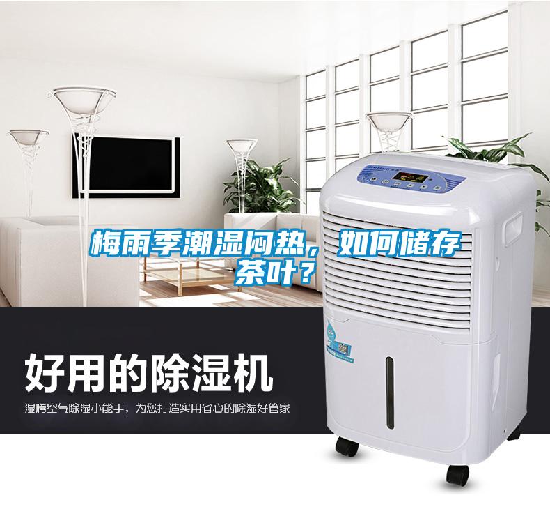 梅雨季潮濕悶熱，如何儲存茶葉？