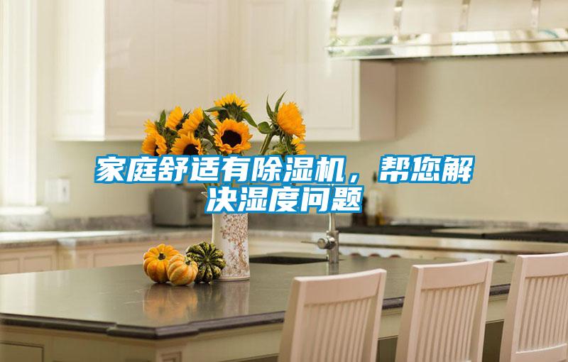 家庭舒適有除濕機，幫您解決濕度問題