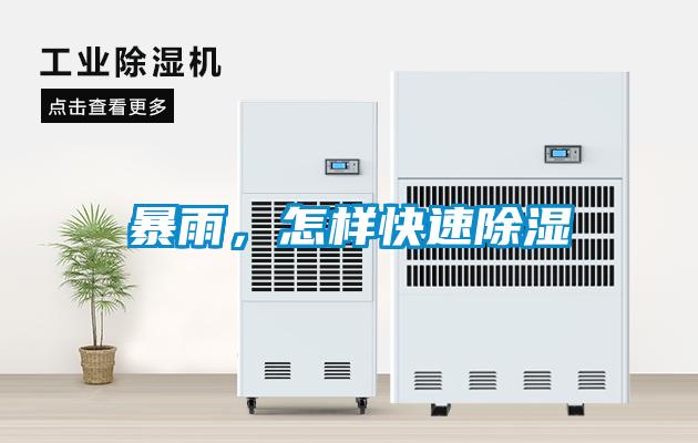 暴雨，怎樣快速除濕