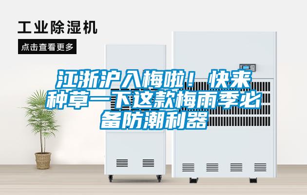 江浙滬入梅啦！快來種草一下這款梅雨季必備防潮利器