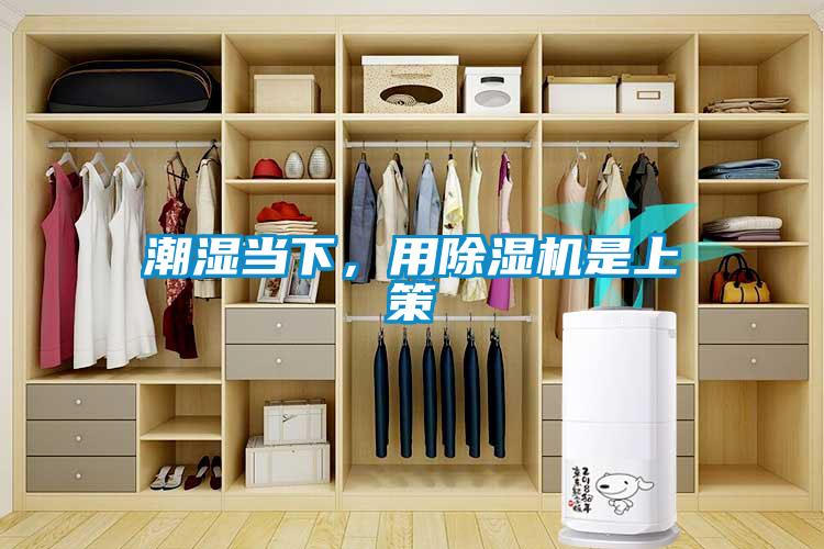 潮濕當(dāng)下，用除濕機(jī)是上策