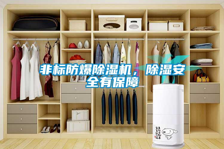 非標防爆除濕機，除濕安全有保障
