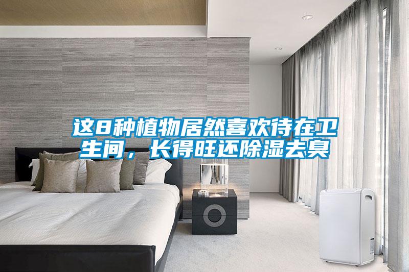 這8種植物居然喜歡待在衛生間，長得旺還除濕去臭