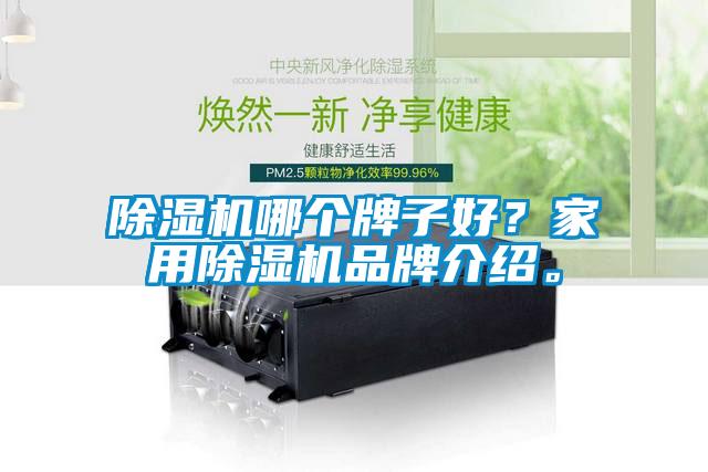 除濕機哪個牌子好？家用除濕機品牌介紹。