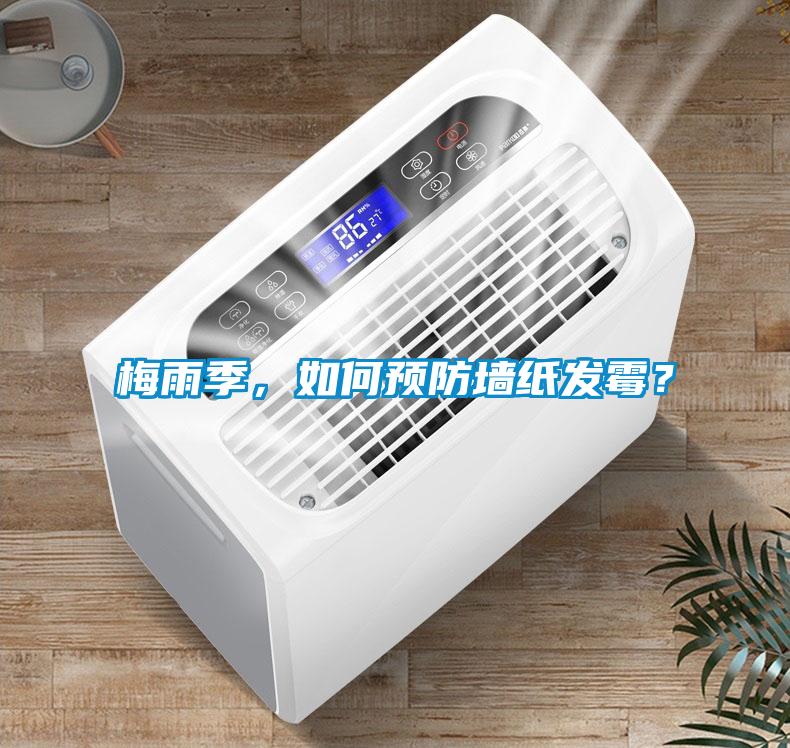 梅雨季，如何預防墻紙發霉？