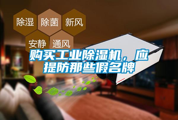 購(gòu)買工業(yè)除濕機(jī)，應(yīng)提防那些假名牌