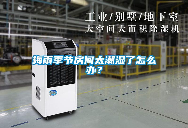 梅雨季節房間太潮濕了怎么辦？