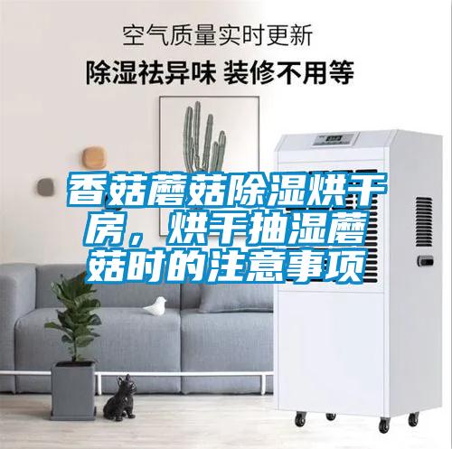 香菇蘑菇除濕烘干房，烘干抽濕蘑菇時的注意事項