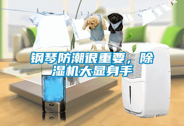 鋼琴防潮很重要，除濕機大顯身手
