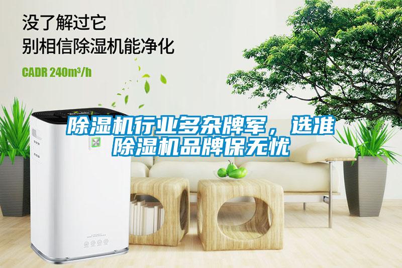 除濕機(jī)行業(yè)多雜牌軍，選準(zhǔn)除濕機(jī)品牌保無(wú)憂