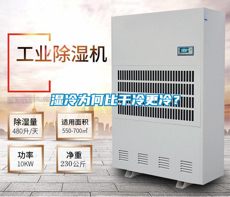 濕冷為何比干冷更冷？
