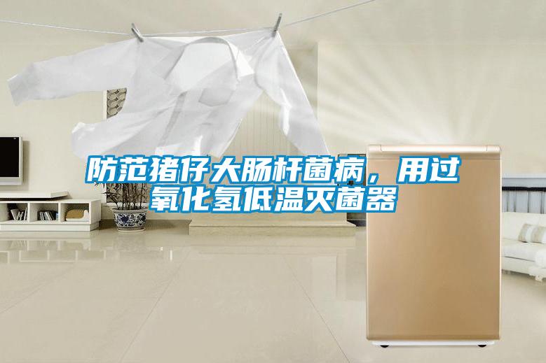 防范豬仔大腸桿菌病，用過氧化氫低溫滅菌器