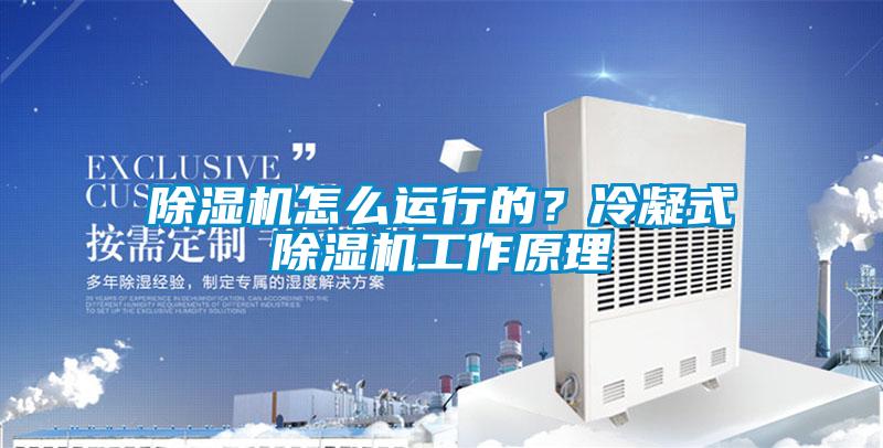 除濕機怎么運行的？冷凝式除濕機工作原理