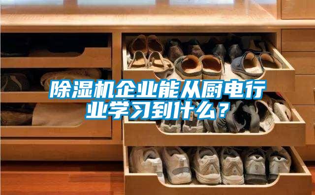 除濕機企業(yè)能從廚電行業(yè)學(xué)習(xí)到什么？