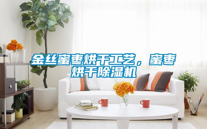 金絲蜜棗烘干工藝，蜜棗烘干除濕機
