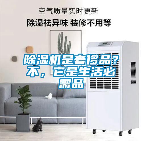 除濕機是奢侈品？不，它是生活必需品