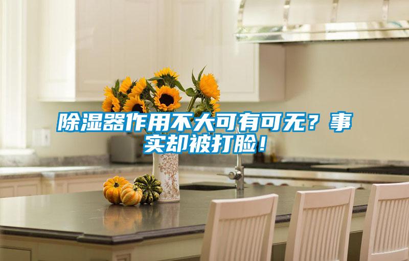 除濕器作用不大可有可無？事實卻被打臉！