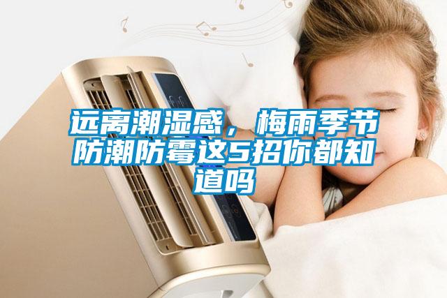遠離潮濕感，梅雨季節(jié)防潮防霉這5招你都知道嗎