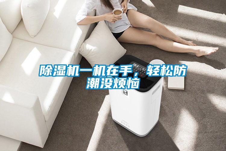 除濕機一機在手，輕松防潮沒煩惱