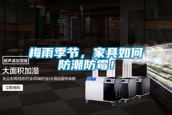 梅雨季節，家具如何防潮防霉！
