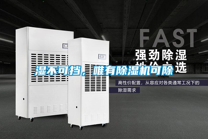 濕不可擋，唯有除濕機可除