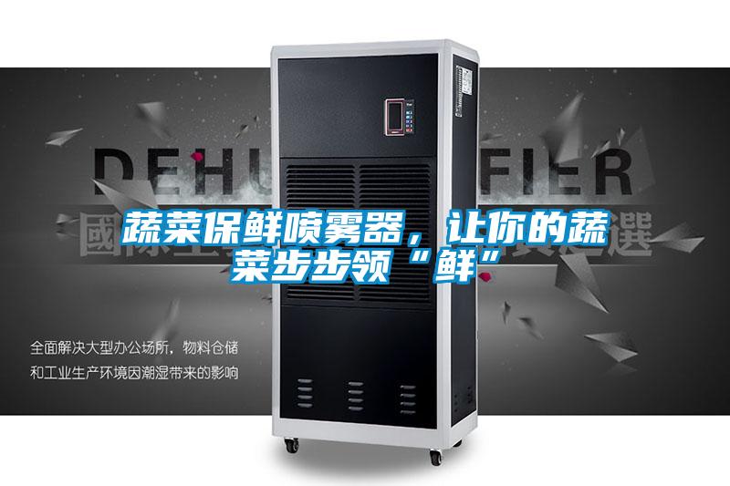 蔬菜保鮮噴霧器，讓你的蔬菜步步領(lǐng)“鮮”
