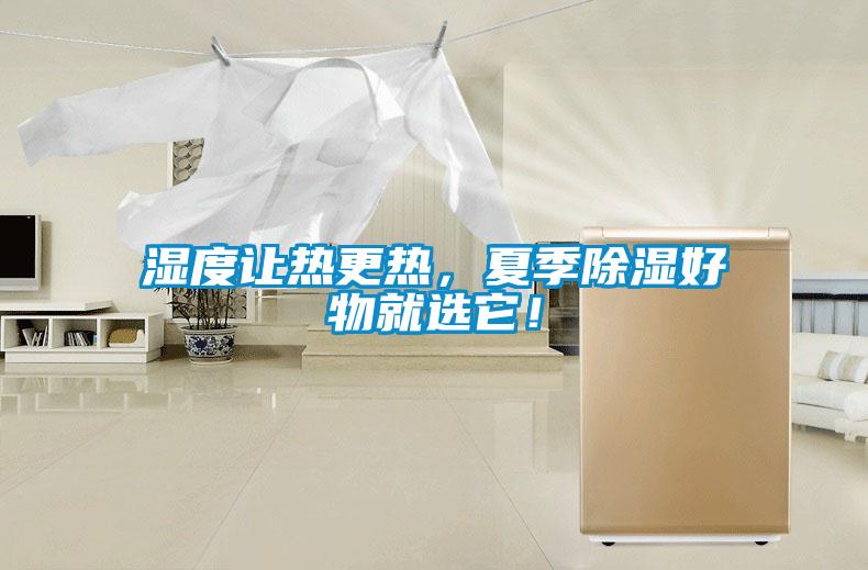濕度讓熱更熱，夏季除濕好物就選它！