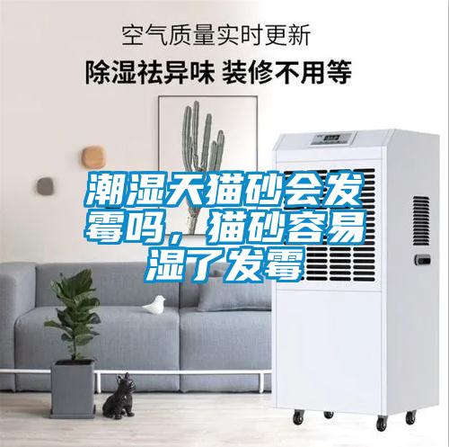 潮濕天貓砂會發霉嗎，貓砂容易濕了發霉