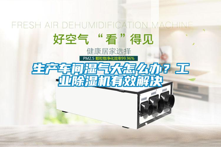 生產(chǎn)車間濕氣大怎么辦？工業(yè)除濕機(jī)有效解決