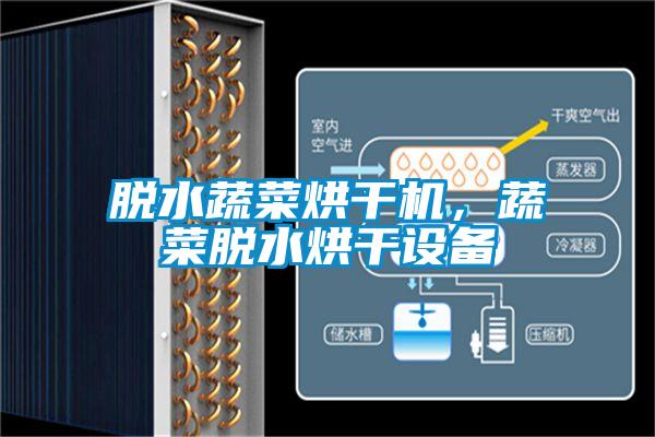 脫水蔬菜烘干機(jī)，蔬菜脫水烘干設(shè)備