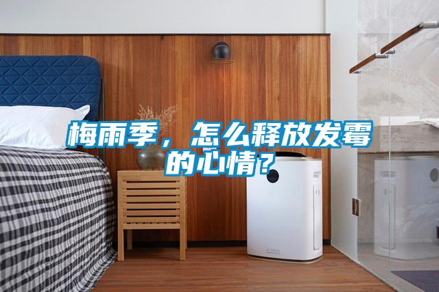 梅雨季，怎么釋放發霉的心情？