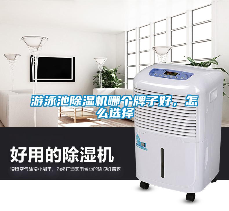 游泳池除濕機哪個牌子好，怎么選擇