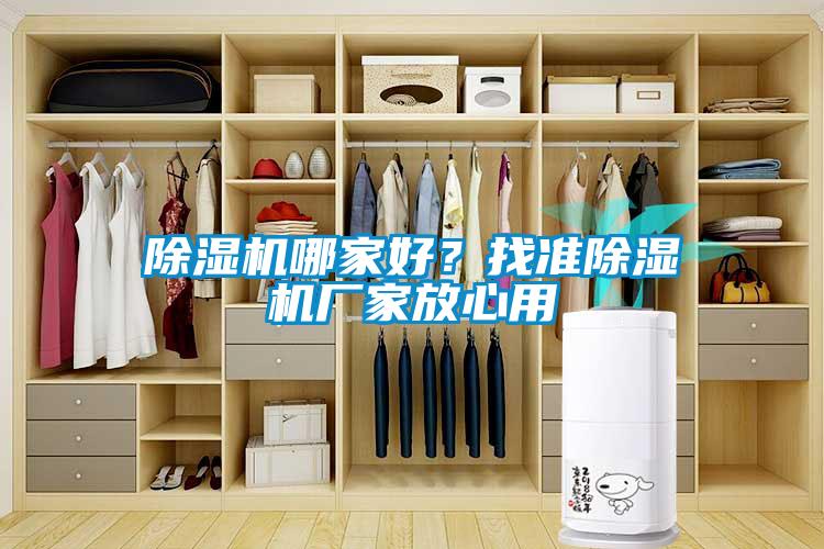除濕機哪家好？找準除濕機廠家放心用