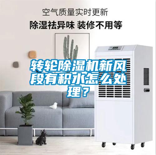 轉(zhuǎn)輪除濕機新風(fēng)段有積水怎么處理?