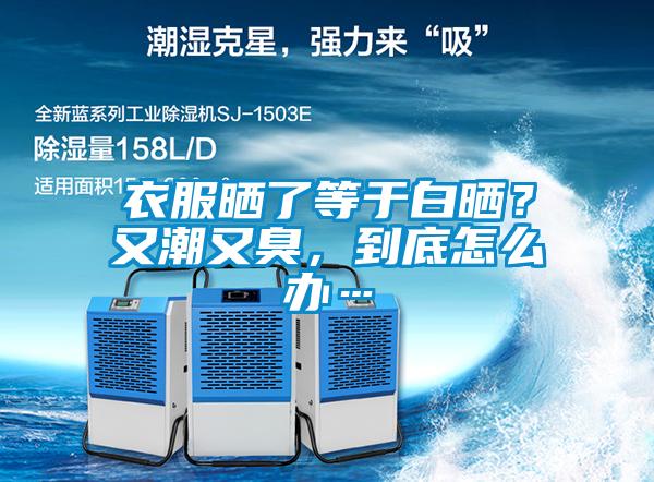 衣服曬了等于白曬？又潮又臭，到底怎么辦…