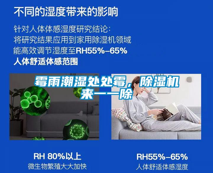 霉雨潮濕處處霉，除濕機來一一除