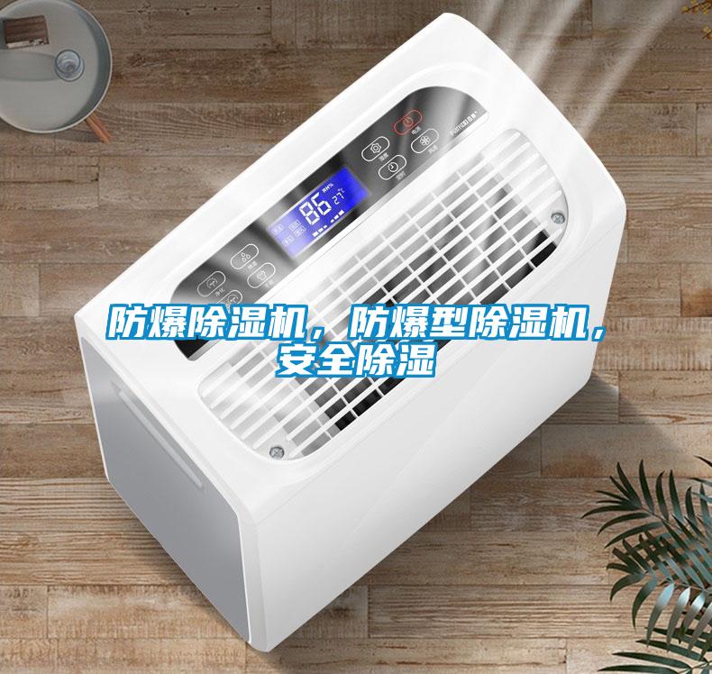 防爆除濕機，防爆型除濕機，安全除濕
