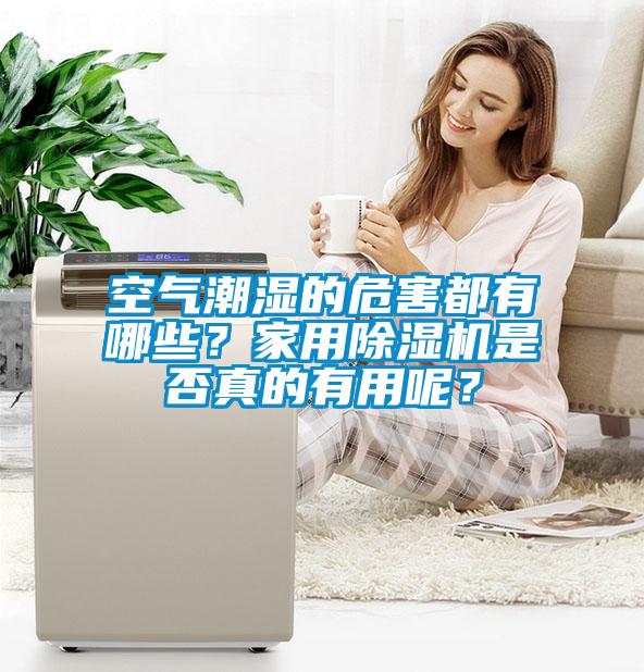 空氣潮濕的危害都有哪些？家用除濕機是否真的有用呢？