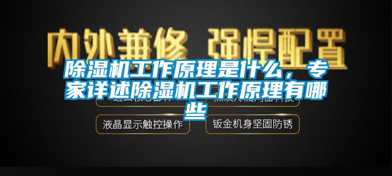除濕機工作原理是什么，專家詳述除濕機工作原理有哪些