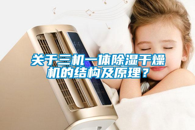 關(guān)于三機(jī)一體除濕干燥機(jī)的結(jié)構(gòu)及原理？