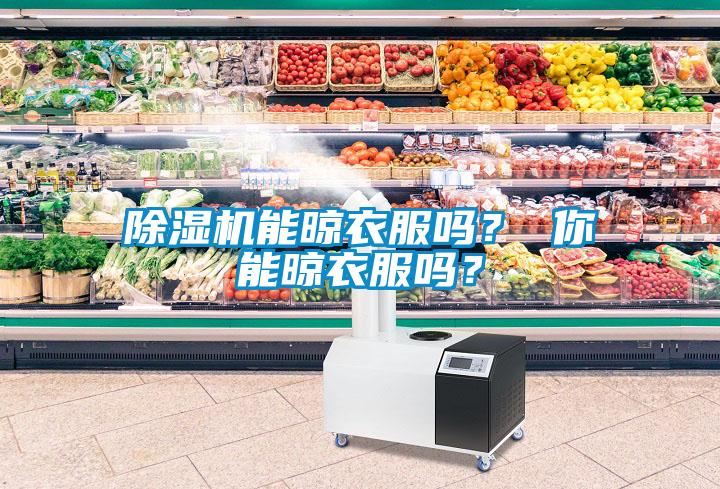 除濕機能晾衣服嗎？ 你能晾衣服嗎？