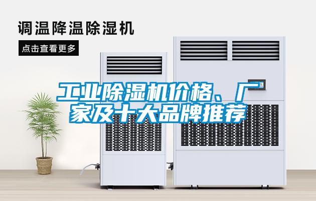 工業(yè)除濕機(jī)價(jià)格、廠家及十大品牌推薦