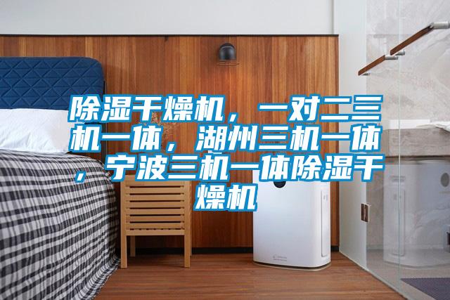 除濕干燥機，一對二三機一體，湖州三機一體，寧波三機一體除濕干燥機