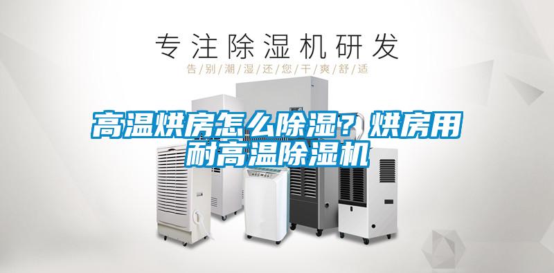高溫烘房怎么除濕？烘房用耐高溫除濕機(jī)