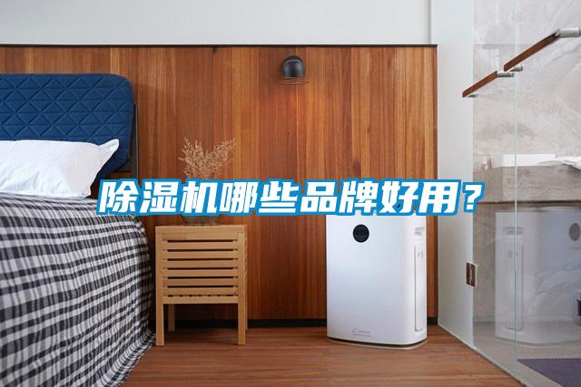 除濕機哪些品牌好用？