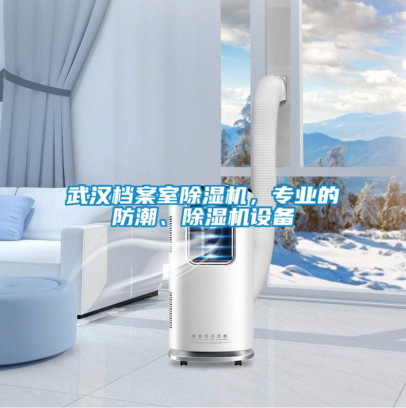 武漢檔案室除濕機，專業的防潮、除濕機設備