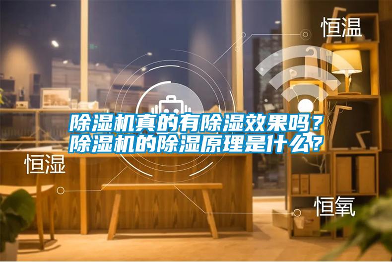 除濕機(jī)真的有除濕效果嗎？除濕機(jī)的除濕原理是什么？