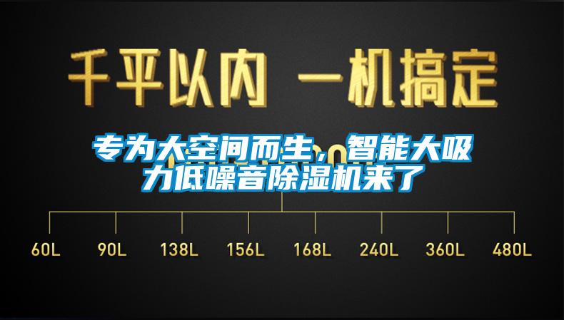 專為大空間而生，智能大吸力低噪音除濕機(jī)來(lái)了